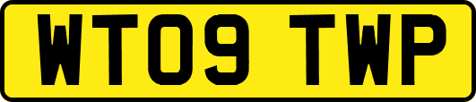 WT09TWP