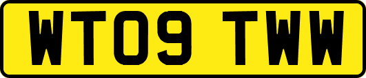 WT09TWW