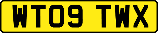WT09TWX