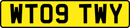 WT09TWY