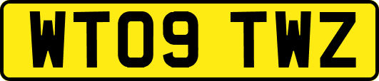 WT09TWZ