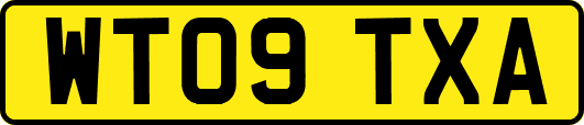 WT09TXA