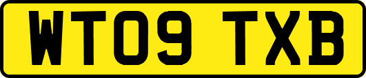 WT09TXB