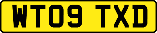 WT09TXD