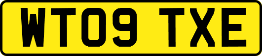 WT09TXE