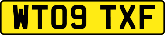 WT09TXF