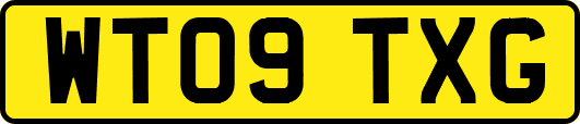 WT09TXG
