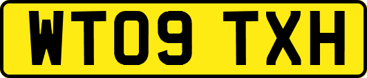 WT09TXH
