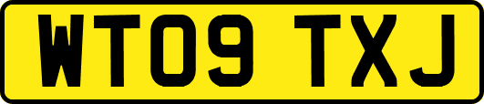 WT09TXJ