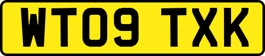 WT09TXK