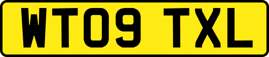 WT09TXL