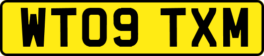 WT09TXM