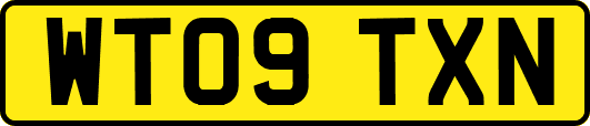 WT09TXN