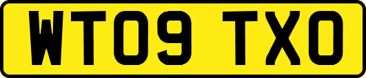 WT09TXO