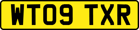 WT09TXR