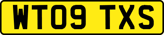 WT09TXS