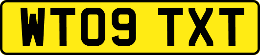 WT09TXT