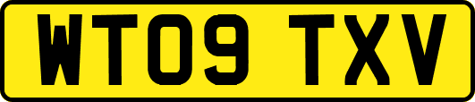 WT09TXV