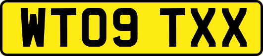 WT09TXX
