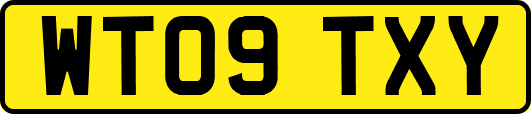 WT09TXY