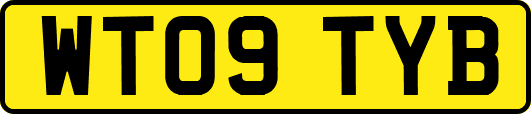 WT09TYB