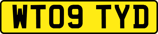 WT09TYD