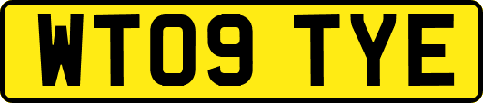 WT09TYE