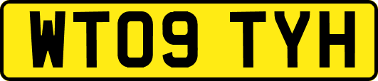 WT09TYH