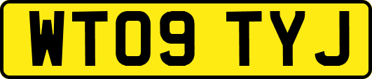 WT09TYJ