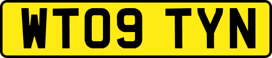 WT09TYN