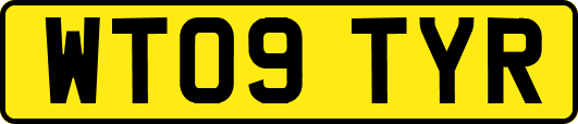 WT09TYR