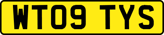 WT09TYS