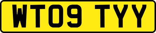 WT09TYY
