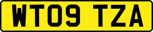 WT09TZA