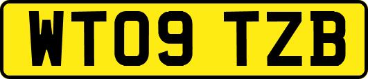 WT09TZB