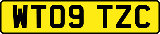WT09TZC