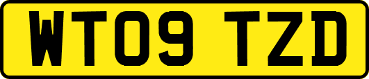 WT09TZD