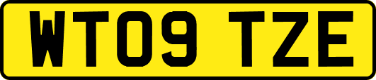 WT09TZE
