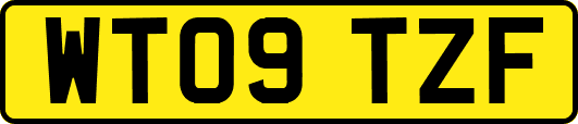 WT09TZF