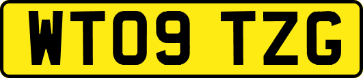 WT09TZG