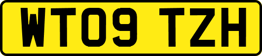 WT09TZH