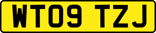 WT09TZJ