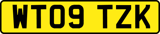 WT09TZK