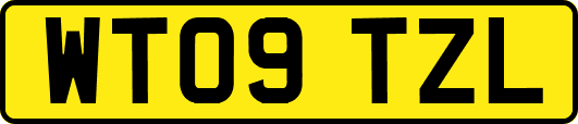 WT09TZL