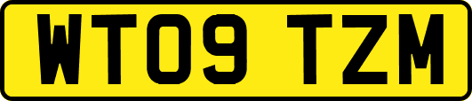WT09TZM