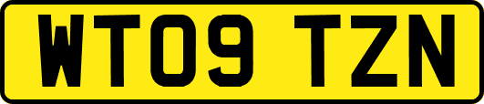 WT09TZN