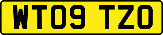 WT09TZO