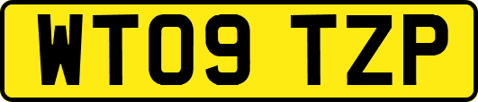 WT09TZP
