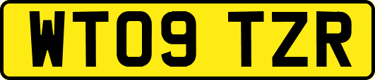 WT09TZR