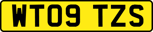 WT09TZS